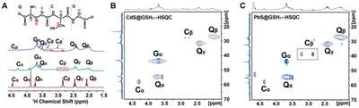 Viscoelasticity Investigation of Semiconductor NP (CdS and PbS) Controlled Biomimetic Nanoparticle Hydrogels